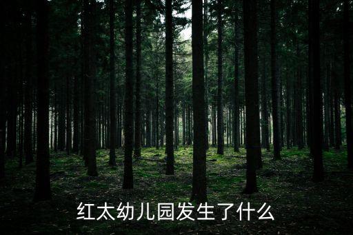 紅太幼兒園發生了什么