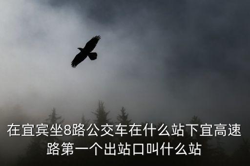 在宜賓坐8路公交車在什么站下宜高速路第一個出站口叫什么站