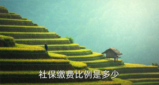 社保繳費比例是多少