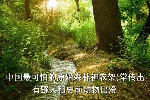 中國神農架,中國神農架深處不被允許前往?