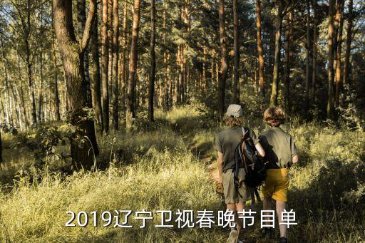 遼寧春晚,遼寧春晚:今年遼寧晚會不在cctv上播出