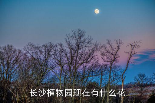 長(zhǎng)沙植物園現(xiàn)在有什么花