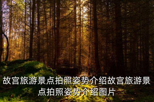保和殿圖片,故宮哪個殿,中朝是皇帝舉行朝會的地方