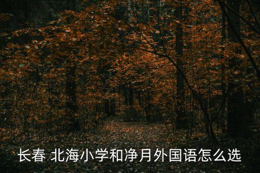 北海小學(xué),北海中心集中區(qū)域有以下小學(xué)