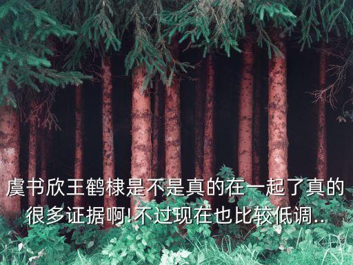 虞書欣王鶴棣是不是真的在一起了真的很多證據(jù)啊!不過現(xiàn)在也比較低調(diào)...