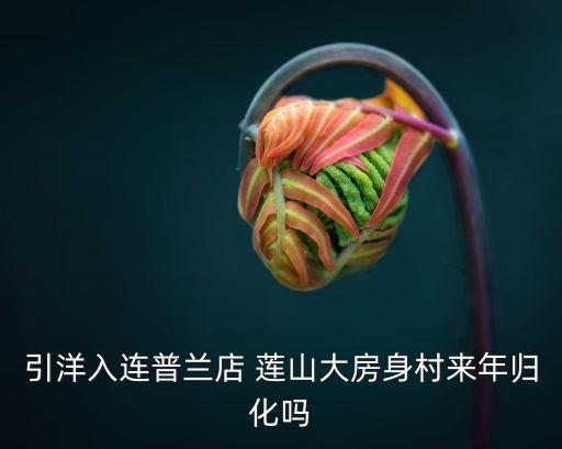 引洋入連普蘭店 蓮山大房身村來年歸化嗎