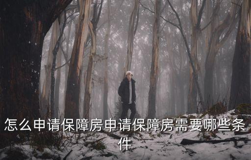 保障性住房申請條件,成都保障性住房申請條件