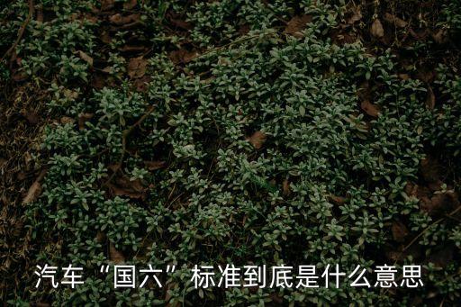 國(guó)6排放標(biāo)準(zhǔn),國(guó)六排放標(biāo)準(zhǔn)是什么?
