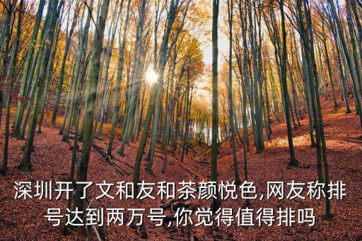 深圳開了文和友和茶顏悅色,網友稱排號達到兩萬號,你覺得值得排嗎