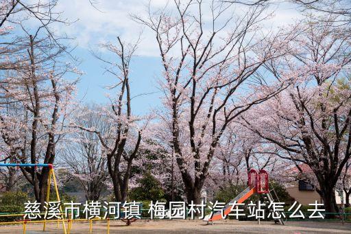 慈溪市橫河鎮 梅園村汽車站怎么去