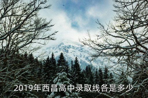 2019年西昌高中錄取線各是多少