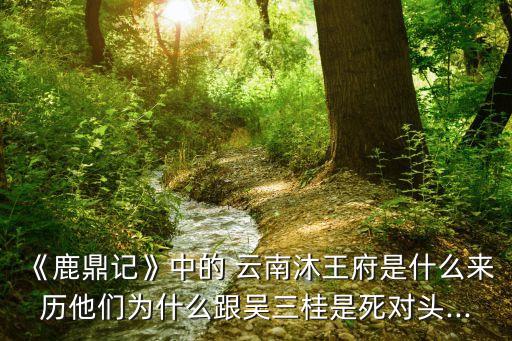 《鹿鼎記》中的 云南沐王府是什么來歷他們?yōu)槭裁锤鷧侨鹗撬缹︻^...