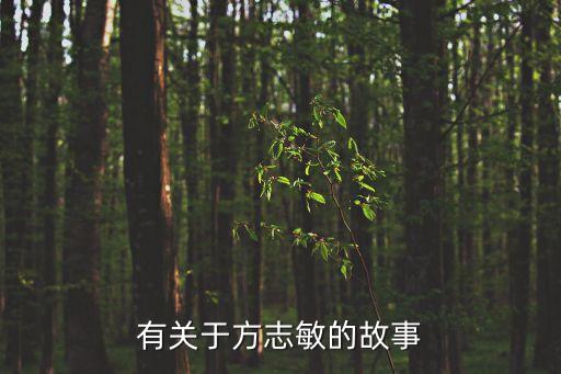 同志吧,同性戀被稱為:玻璃或同志