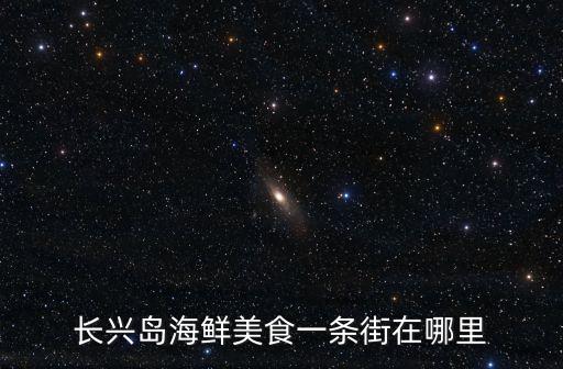 長興島海鮮美食一條街在哪里