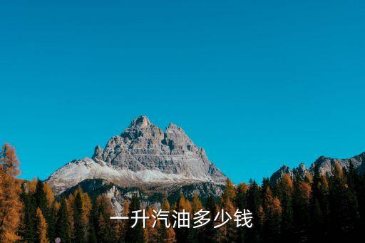 一升汽油多少錢
