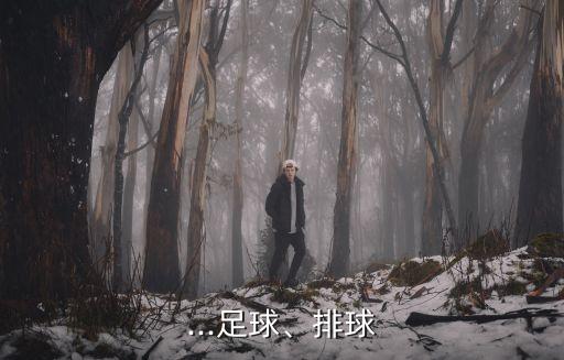三小球,三大球的范圍:乒乓球、羽毛球、網(wǎng)球