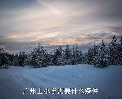 廣州上小學需要什么條件