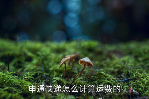 申通快遞怎么計算運費的
