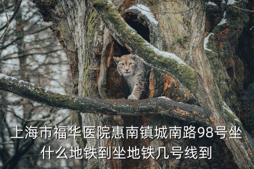 上海市福華醫院惠南鎮城南路98號坐什么地鐵到坐地鐵幾號線到