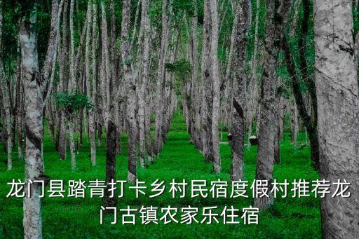 鄉(xiāng)村度假,如何寫鄉(xiāng)村度假英語作文?