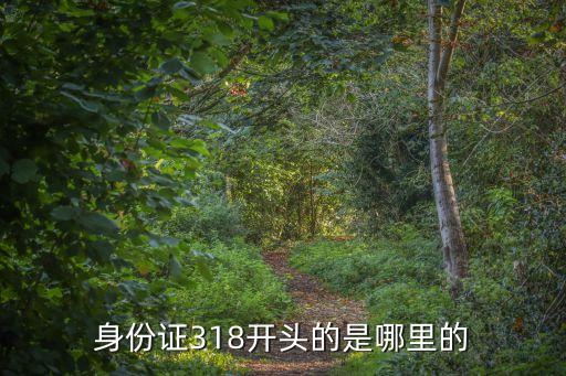 身份證318開頭的是哪里的