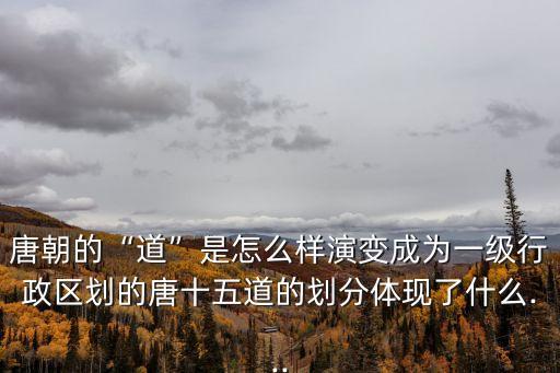 唐朝的“道”是怎么樣演變成為一級行政區(qū)劃的唐十五道的劃分體現(xiàn)了什么...