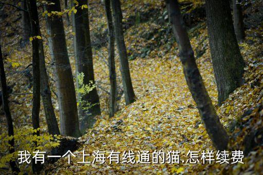 東方有線客服,東方有線用戶證號可在以下幾種方式中找到