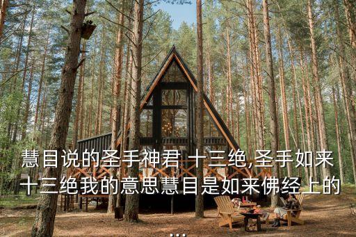 慧目說的圣手神君 十三絕,圣手如來 十三絕我的意思慧目是如來佛經上的...