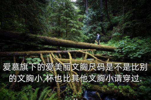 愛美麗內(nèi)衣,愛美麗內(nèi)衣是幾線品牌?