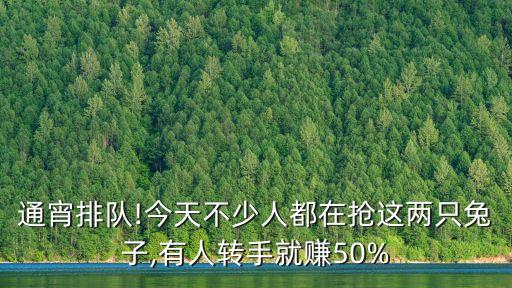 通宵排隊!今天不少人都在搶這兩只兔子,有人轉(zhuǎn)手就賺50%
