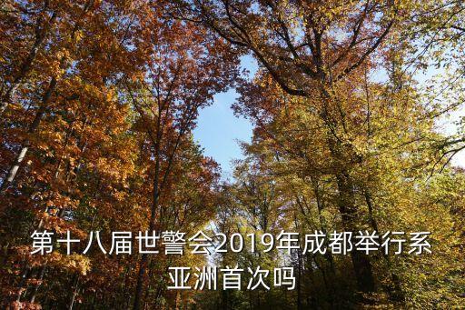 世界警察運(yùn)動(dòng)會(huì),申辦世界警察消防運(yùn)動(dòng)會(huì)年度展望與911相關(guān)