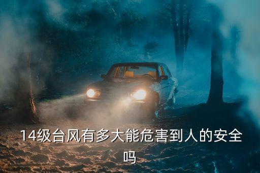  14級臺風有多大能危害到人的安全嗎
