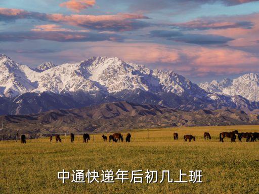 韻達快遞上班時間,過年快遞什么時候開始上班?看這里!