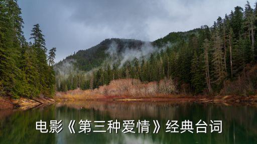 第三種幸福電視劇,第一部《幸福觸手可及》第三部飾演反一號(hào)金一帆