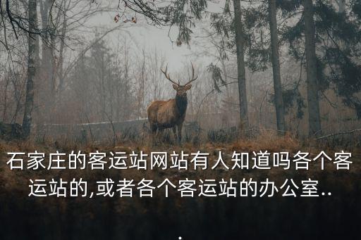 石家莊汽車站電話,乘客打電話到石家莊哪個汽車站比較靠譜?