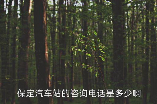 保定汽車站,保定有幾個長途汽車站?詢問電話多少啊?