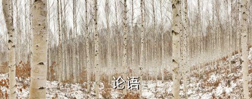 三孔,三孔是孔子故里山東曲阜的簡稱?
