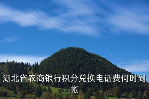湖北省農商銀行積分兌換電話費何時到帳