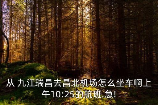 九江瑞昌,九江至瑞昌高架橋2023年5月開(kāi)工建設(shè)
