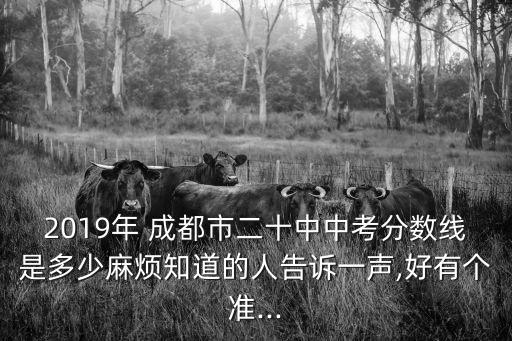 2019年 成都市二十中中考分數線是多少麻煩知道的人告訴一聲,好有個準...