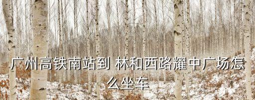 廣州高鐵南站到 林和西路耀中廣場怎么坐車