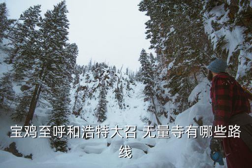 無量寺,從榆林到大召無量寺途徑道路詳情