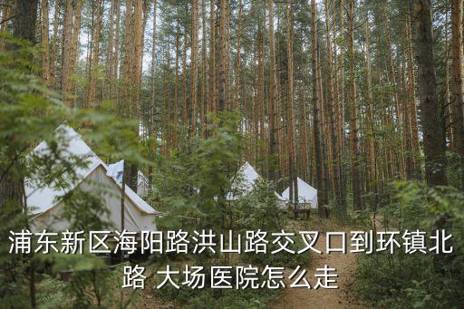 浦東新區海陽路洪山路交叉口到環鎮北路 大場醫院怎么走
