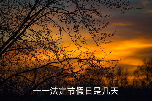 十一法定節假日是幾天