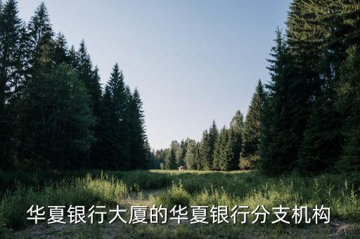 華夏銀行大廈的華夏銀行分支機構