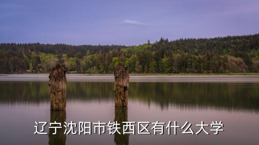 沈陽鐵西區(qū),沈陽鐵西區(qū)有什么大學(xué)?