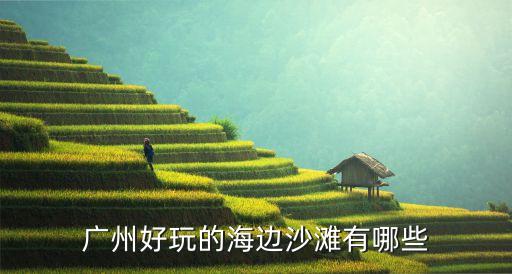 廣州好玩的海邊沙灘有哪些