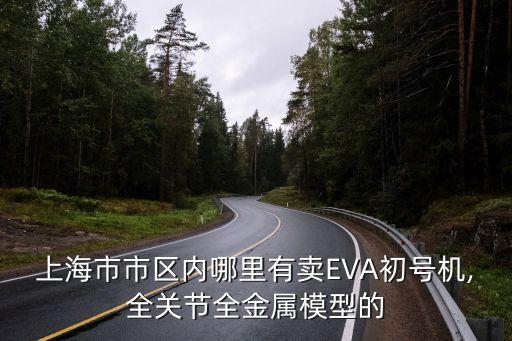 上海市市區(qū)內(nèi)哪里有賣EVA初號(hào)機(jī),全關(guān)節(jié)全金屬模型的