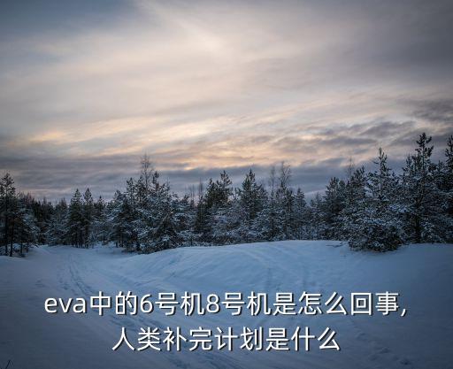 eva中的6號(hào)機(jī)8號(hào)機(jī)是怎么回事,人類補(bǔ)完計(jì)劃是什么