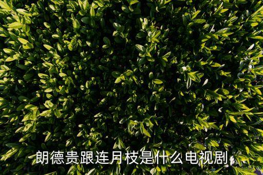 郎德貴電視劇全集,郎德貴電視劇叫什么?